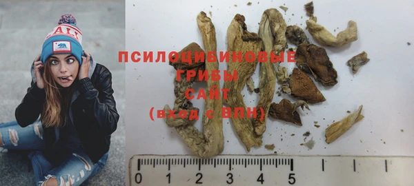 ECSTASY Богородицк