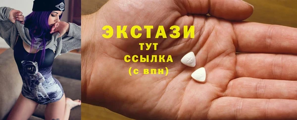 ECSTASY Богородицк