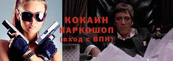 винт Богданович