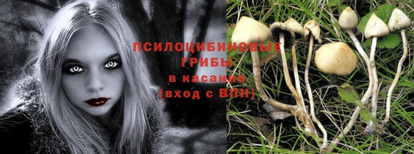 первитин Богородск