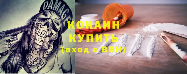 ECSTASY Богородицк